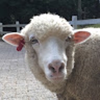 へこへこ（blackkitty312）