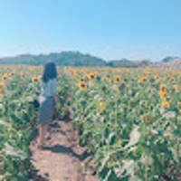 松岡葵
