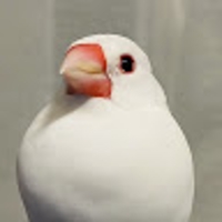 しの
