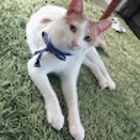 Y K (Yo.sK) @業務・営業支援