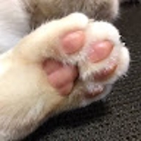 stonewebストーンウェブ