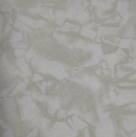 マインフォーカス テスター