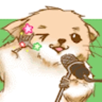 豊田智美@デザイン、ディレクション