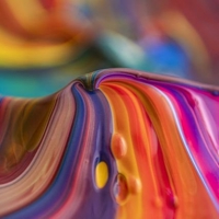 secret garden　フォロバ100