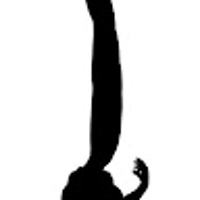 yukikayuki