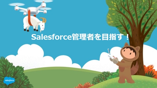 【Salesforce管理者を目指す】SalesCloud／ServiceCloudの習得をサポートします！（認定アドミンレベル）-image1