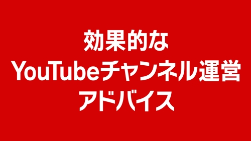 【YouTubeチャンネル、TikTokアカウント】動画SNSのフォロワー数に応じた成長をサポート-image1
