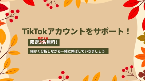 【2名限定！】無料でTikTokのアカウントサポート!!-image1