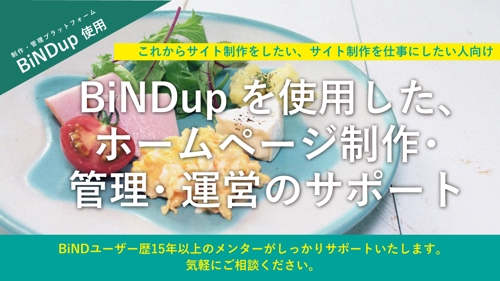 【ユーザー歴15年以上!】BiNDupを使ったサイトの制作・管理・運営についてサポートいたします。-image1