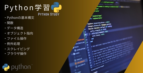 Python学習をサポートします-image1