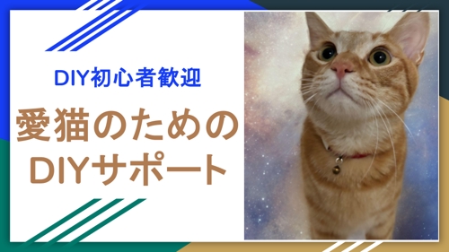 【愛猫家歓迎】愛する猫ちゃんのためのDIYをサポートします