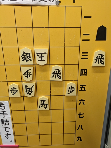 将棋初心者をサポートします。-image1