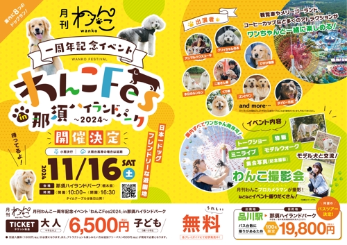 デザイン初心者の作ったものを添削します！-image1