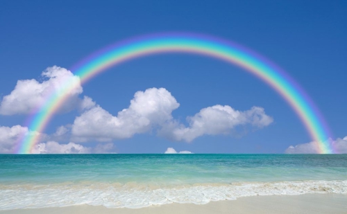 パートナーシップに悩む方へ｜肩の力を抜いて気持ちを整理するサポート-image1