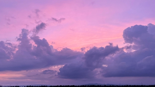 初めての実務案件に伴走｜判断の軸で進めるWeb/グラフィック実務サポート