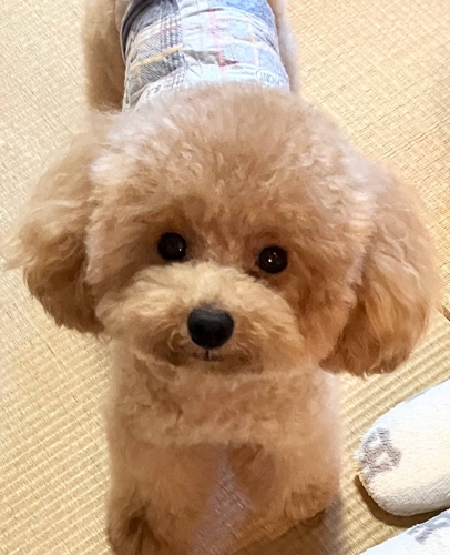 転職も起業も決めない30分 ― 立ち止まって考えるための対話 ―