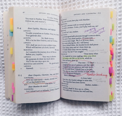 英語記事を1段落読む・要約する25分プラン-image3