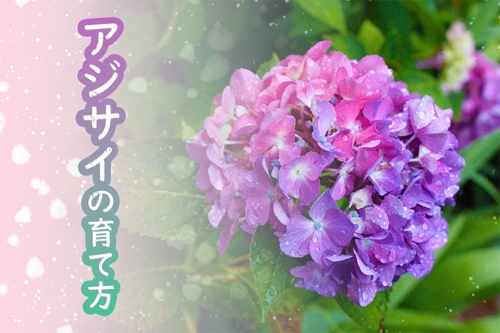 あなたに合わせてマンツーマン！初心者向けPhotoshop講座-image4