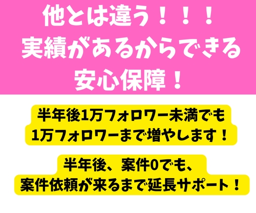 インフルエンサーとして稼ぎたい方必見！📢インフルエンサーとして稼げるようにサポートを行います！-image2